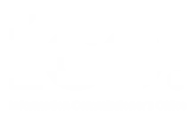 ico icon